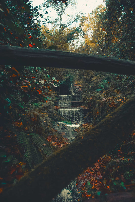 Peaceful babbling brook through forest trees symbolizing God as our Rock - Deuteronomy 32 Song of Moses