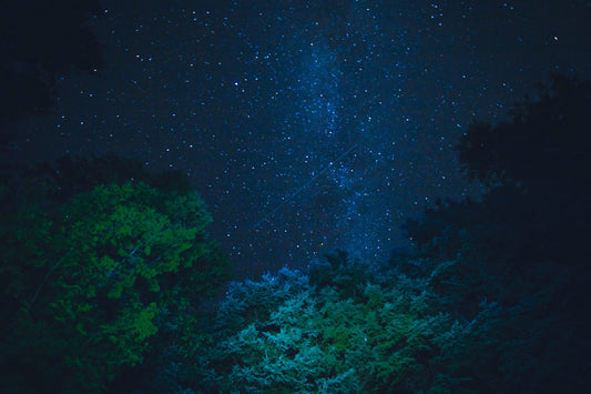Starry night sky through trees symbolizing Jesus' burial and resurrection hope from Matthew 27