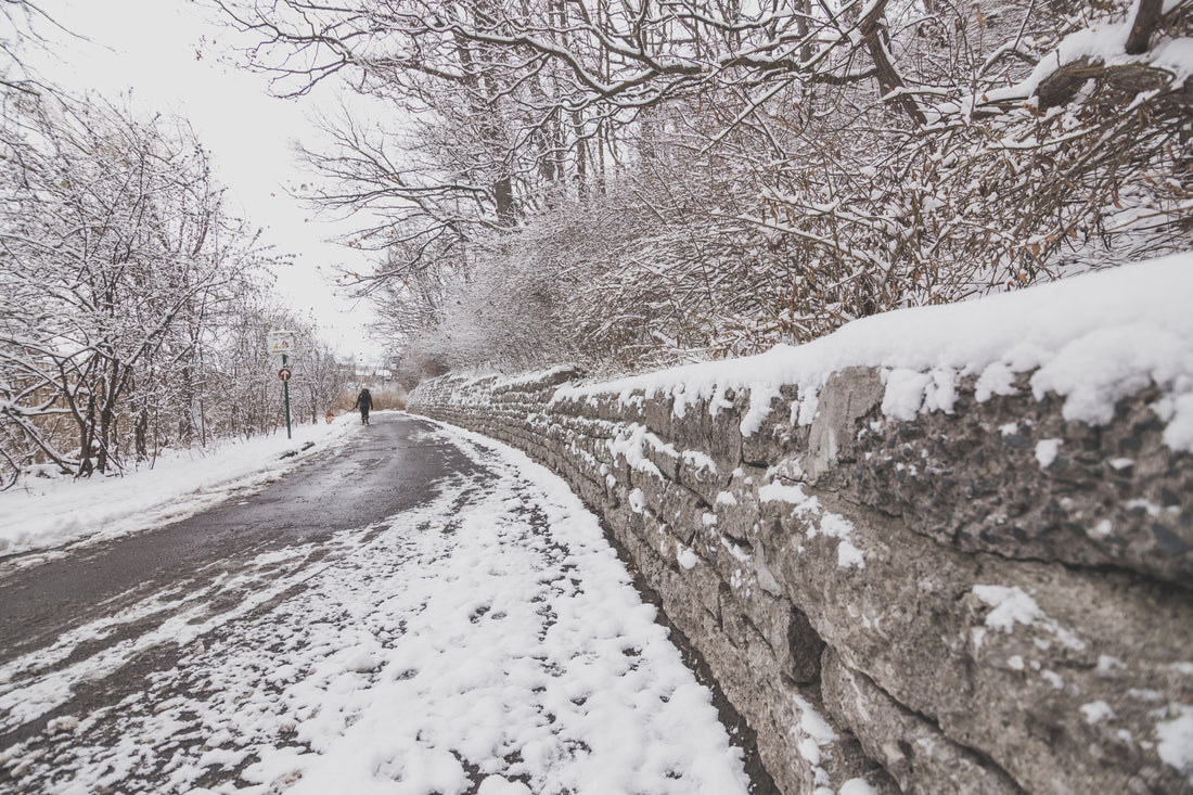 Snow-covered winter forest path symbolizing Israel's journey to restoration and hope in Amos 9:11-12