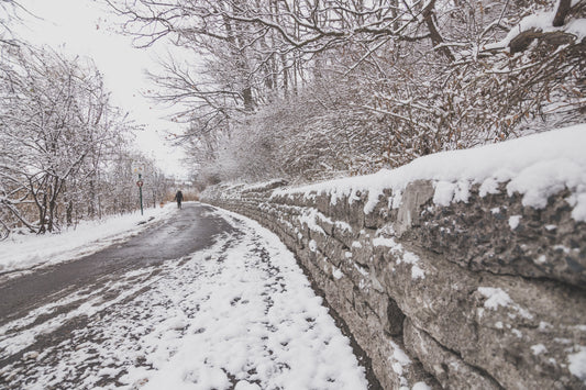 Snow-covered winter forest path symbolizing Israel's journey to restoration and hope in Amos 9:11-12